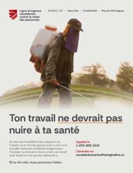 Affiche de sensibilisation aux droits des travailleurs et travailleuses migrants mettant en scène un travailleur agricole pulvérisant un champ. Comprend les coordonnées de la Ligne d’urgence canadienne contre la traite des personnes.
